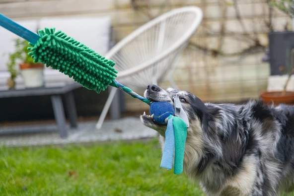 Beeztees Köpek Oyuncağı, Tut Getir Tenis Toplu, Peluş, Mavi-Yeşil, 90x10x6cm - Resim 2