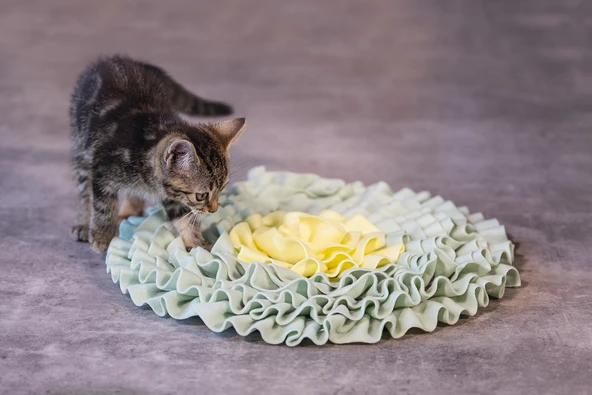 Beeztees Yavru Kedi Oyuncağı, Ödül Saklama, 38x38x3cm - Resim 2