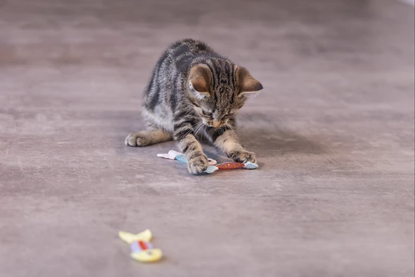 Beeztees Yavru Kedi Oyuncağı, Esnek Balık, 3 Adet, 3,5x8,5cm - Resim 5