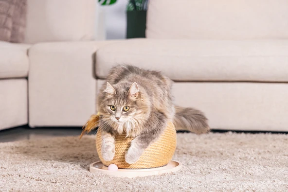 Beeztees DBL Kedi Tırmalama ve Oyuncağı, 29,5x29,5x22cm - Resim 3