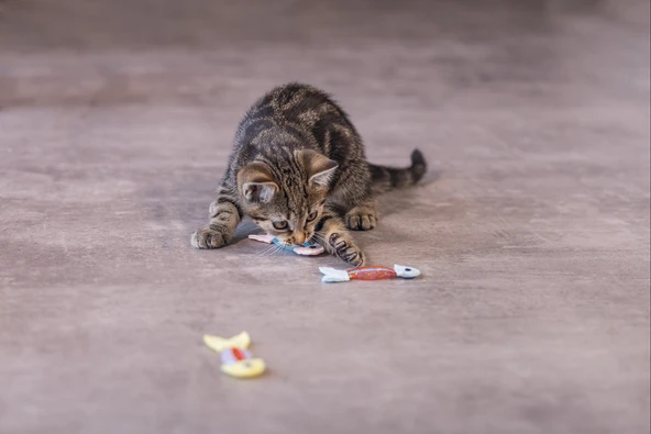 Beeztees Yavru Kedi Oyuncağı, Esnek Balık, 3 Adet, 3,5x8,5cm - Resim 7