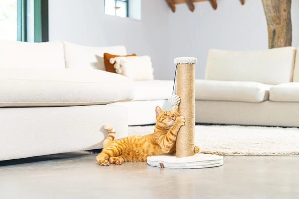 Beeztees DBL Kedi Tırmalama ve Oyuncağı, Açık Gri, 35x35x50cm - Resim 5