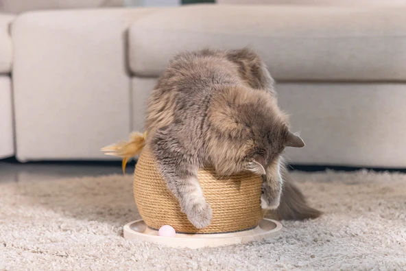 Beeztees DBL Kedi Tırmalama ve Oyuncağı, 29,5x29,5x22cm - Resim 6