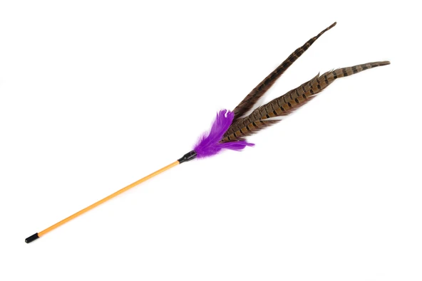 Beeztees Kedi Oltası, Ucu Tüylü-10cm, 30cm - Resim 3