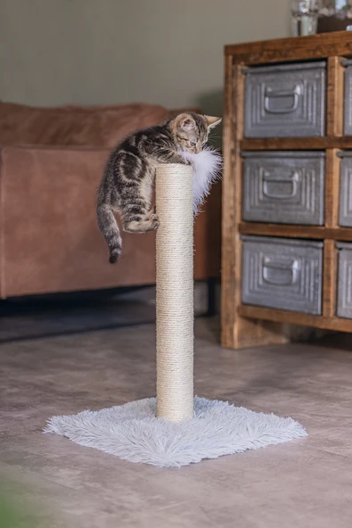 Beeztees Kedi Tırmalama ve Oyuncağı, Gri, 35x35x53cm - Resim 2
