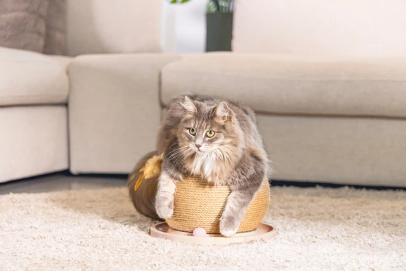 Beeztees DBL Kedi Tırmalama ve Oyuncağı, 29,5x29,5x22cm - Resim 11