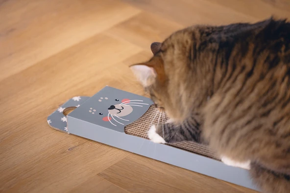 Beeztees Kedi Karton Tırmalama, Mavi, 45cm - Resim 3