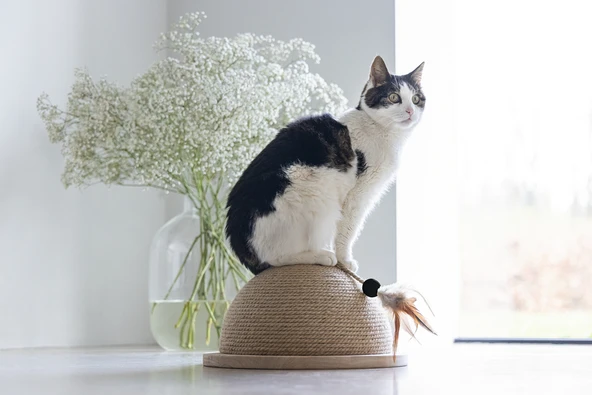 Beeztees DBL Kedi Tırmalama ve Oyuncağı, 34,5x34,5x18cm - Resim 10