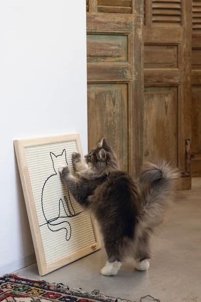 Beeztees DBL Kedi Tırmalama Tahtası, 50x40x2cm - Resim 3