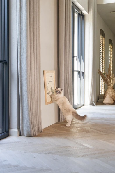 Beeztees DBL Kedi Tırmalama Tahtası, 50x40x2cm - Resim 2