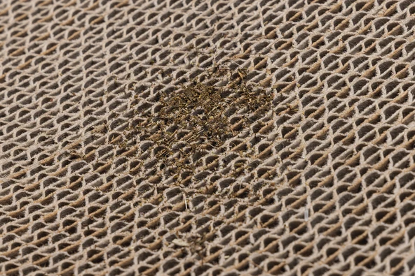 Beeztees Kedi Karton Tırmalama ve Kediotu, 52x21x10cm - Resim 5