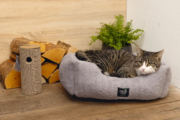 Beeztees Kedi Oyuncağı, Karton Silindir ve Püskül, 23x10x10cm - Resim 2