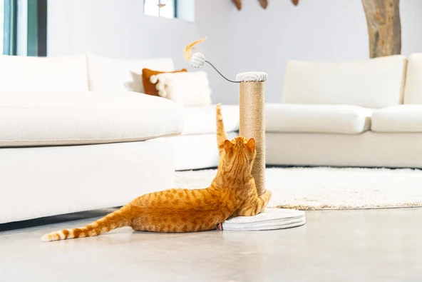 Beeztees DBL Kedi Tırmalama ve Oyuncağı, Açık Gri, 35x35x50cm - Resim 4