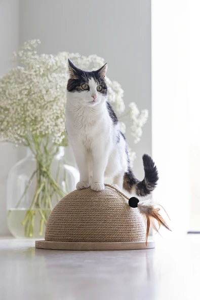 Beeztees DBL Kedi Tırmalama ve Oyuncağı, 34,5x34,5x18cm - Resim 3