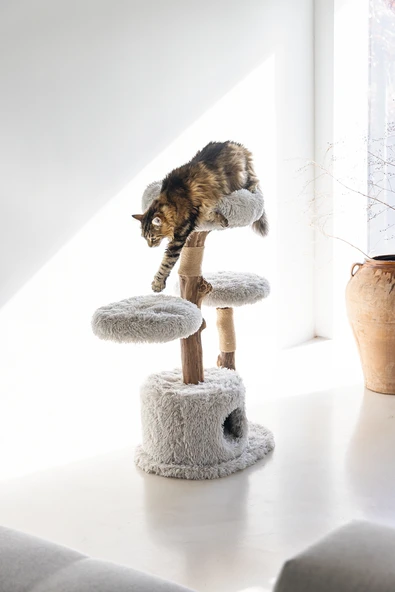 Beeztees DBL Kedi Tırmalama ve Oyun Evi, Doğal, 60x45x100cm - Resim 6