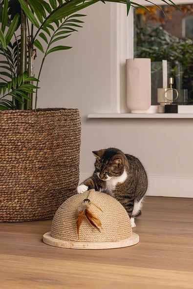 Beeztees DBL Kedi Tırmalama ve Oyuncağı, 34,5x34,5x18cm - Resim 2