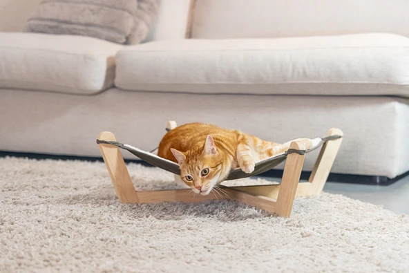 Beeztees DBL Kedi Hamağı, Gri, 51x51x18,5cm - Resim 2