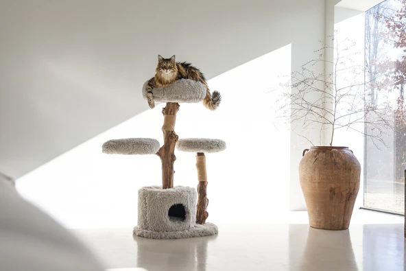 Beeztees DBL Kedi Tırmalama ve Oyun Evi, Doğal, 60x45x100cm - Resim 5