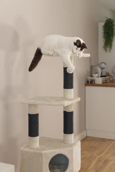 Beeztees Kedi Köşe Tırmalama ve Oyun Evi, Krem, 40x40x135cm - Resim 7