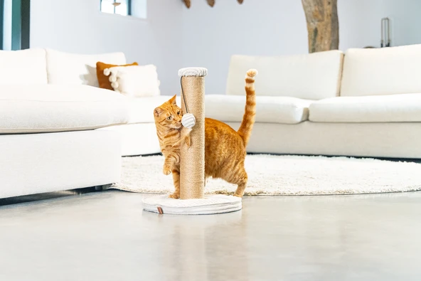 Beeztees DBL Kedi Tırmalama ve Oyuncağı, Açık Gri, 35x35x50cm - Resim 6