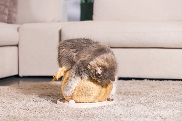 Beeztees DBL Kedi Tırmalama ve Oyuncağı, 29,5x29,5x22cm - Resim 2