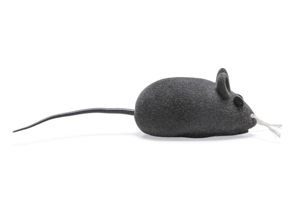 Beeztees Kedi Oyuncağı, Velur Fare, Çeşitli Renklerde, 12,5x3x2,6cm - Resim 5