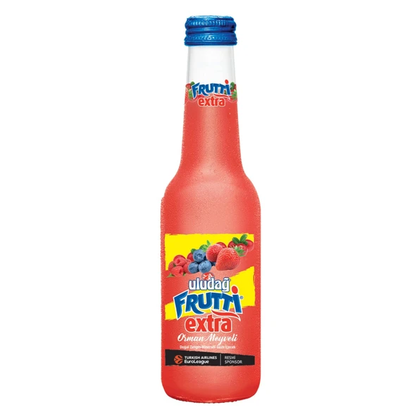 Uludağ Frutti Extra Orman Meyveli 250ml