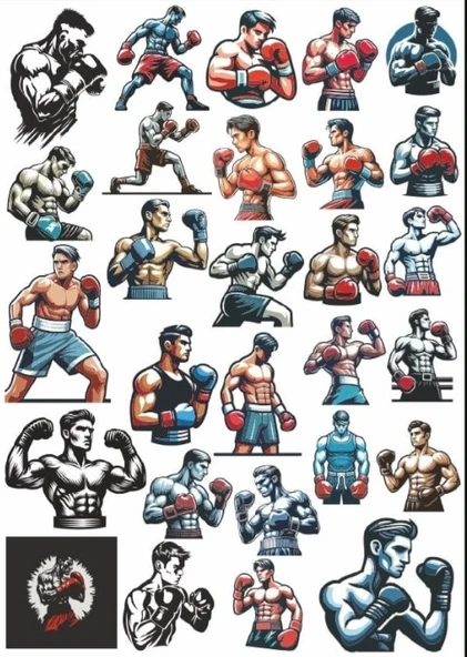 Dövüşçü Boksör Sticker Set