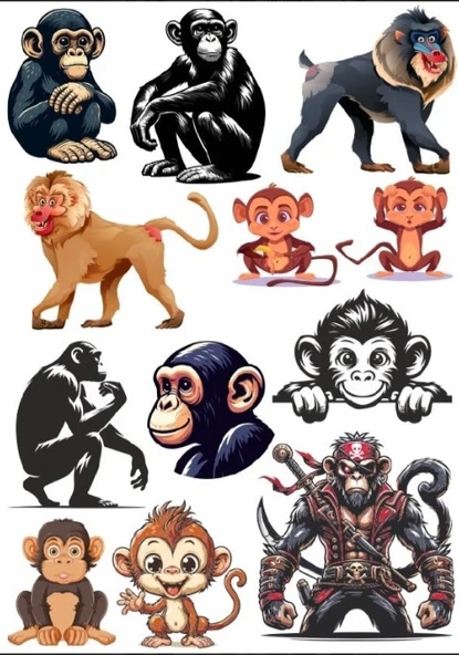 Maymun Sticker Set