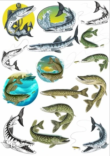 Balık Sticker Set