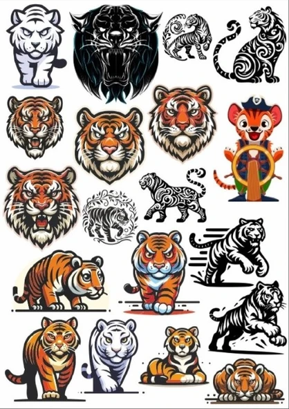 Kaplan Sticker Set 2