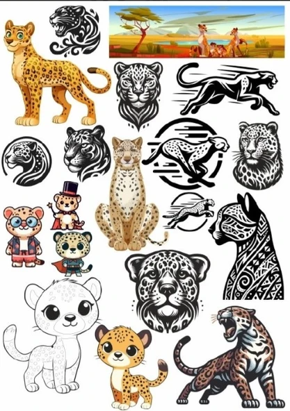 Kaplan Sticker Set 2