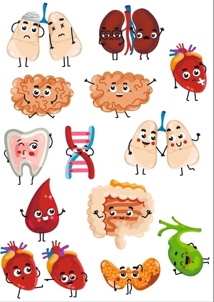 Sevimli Organlar Sticker SEt