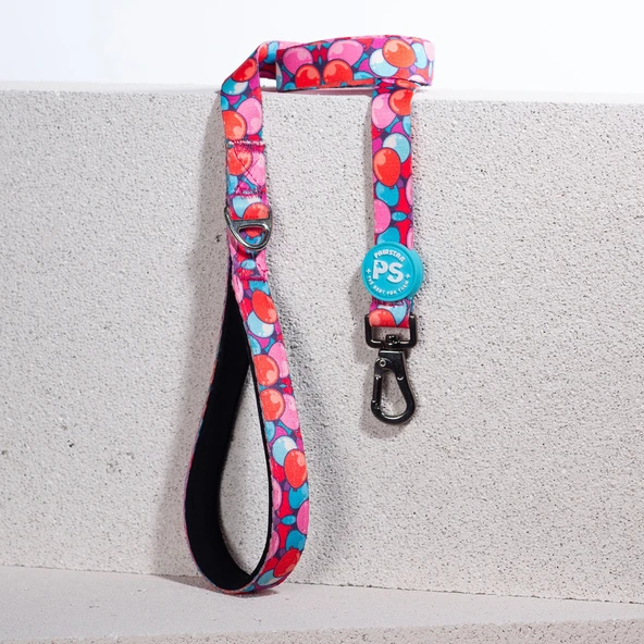 Pawstar Balloons Köpek Gezdirme Kayışı 120 cm x 2 cm