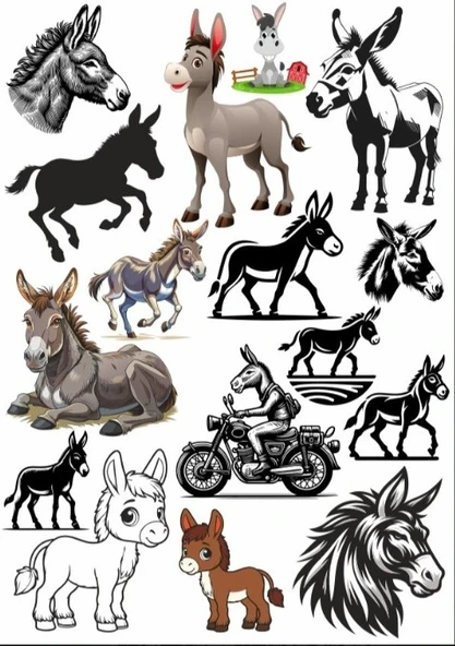 Eşşek Sticker SEt ürün görseli 1