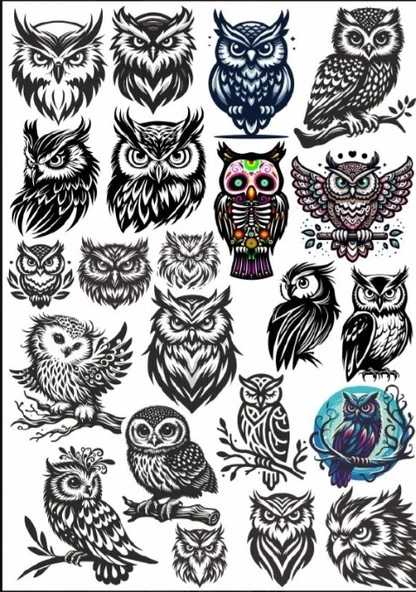 Baykuş Sticker Set