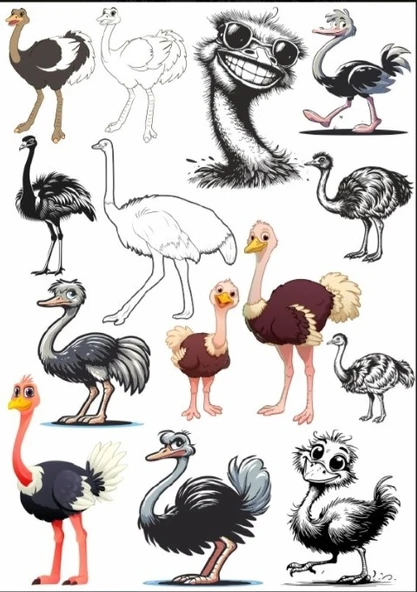 Deve Kuşu Sticker Set