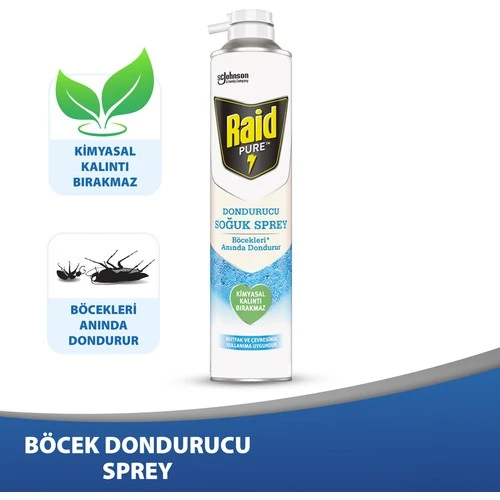 Raid Pure Böcek Dondurucu Sprey 350 Ml
