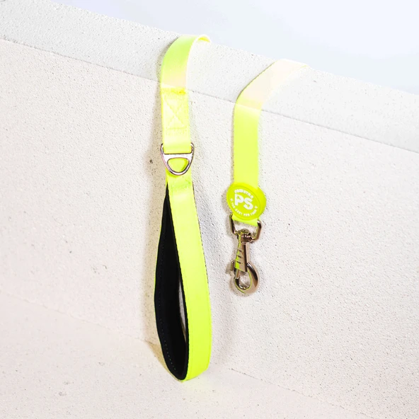 Pawstar Neon Sarı Köpek Gezdirme Kayışı 120 cm x 2 cm - 2