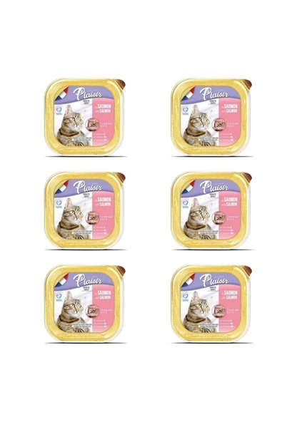 Plaisir Somon Balıklı Pate Kısırlaştırılmış ve Yetişkin Kedi Yaş Maması 100 Gr x 6 Adet