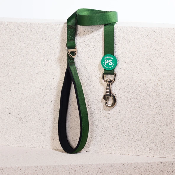 Pawstar Çam Yeşili Köpek Gezdirme Kayışı 120 cm x 2 cm