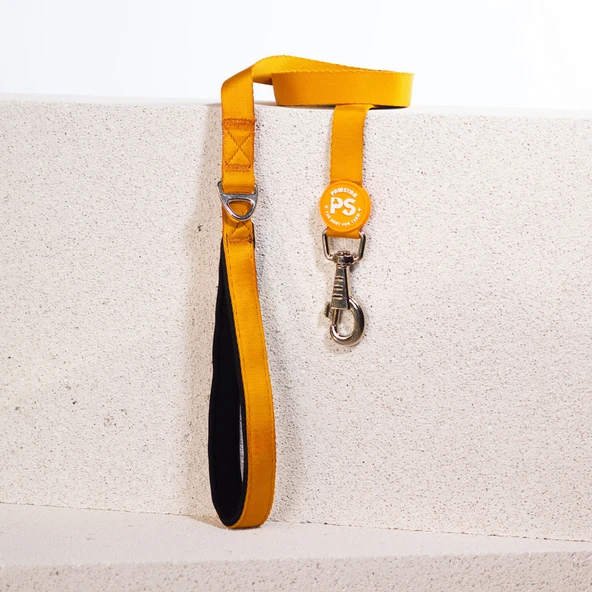 Pawstar Gold Köpek Gezdirme Kayışı 120 cm x 2 cm