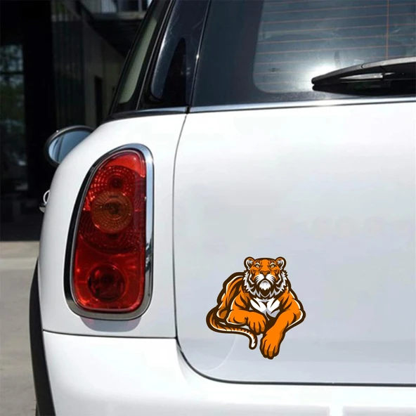 Kaplan 2 Sticker 10x10 cmRenkli Sticker - 2