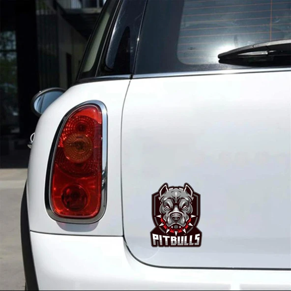 Pitbull Sticker 10x10 cmRenkli Sticker - 2
