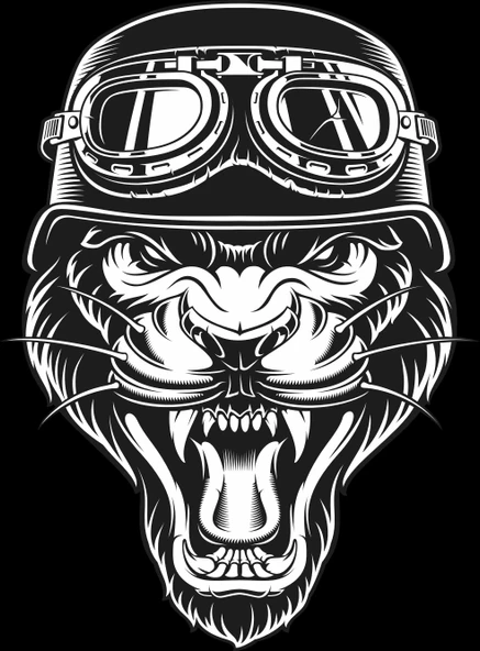 Aslan Sticker 10x10 cmRenkli Sticker