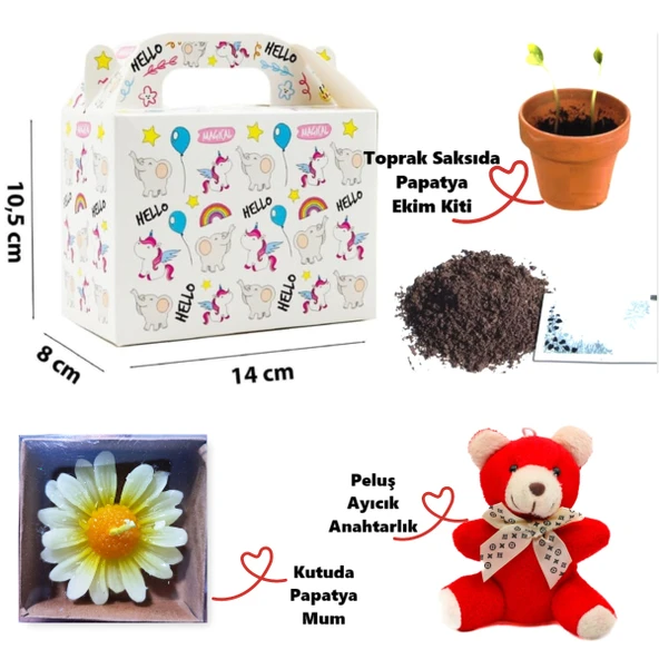 Özel Unicorn Kutuda Ayıcık, Papatya Mum ve Çiçek Ekim Kiti Hediye Kutusu - 02