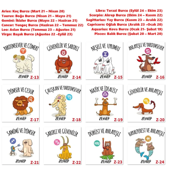 Doğum Günü Burç Tasarımlı Hediye Kutuları, Hediye Sepetleri, Z1 Serisi - 3