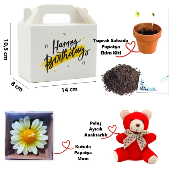Özel Kutuda Papatya Temalı Peluş Ayıcık, Papatya Mum ve Çiçek Ekim Kiti Hediye Kutusu - 01
