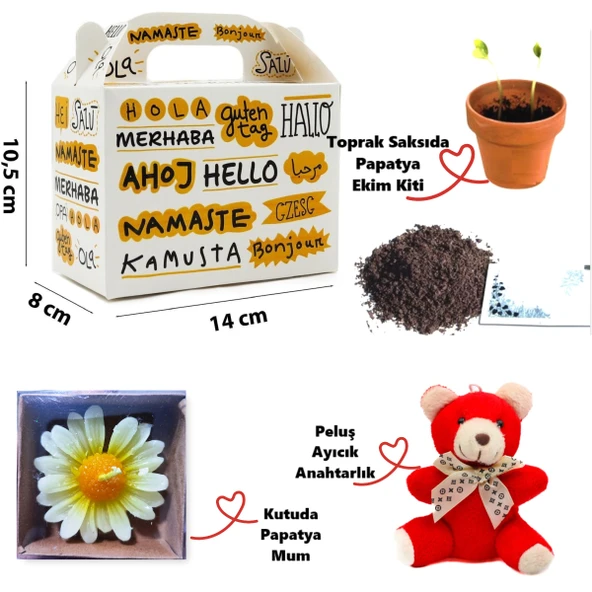 Özel Hello Kutuda Peluş Ayıcık, Papatya Mum ve Çiçek Ekim Kiti Hediye Kutusu - 03