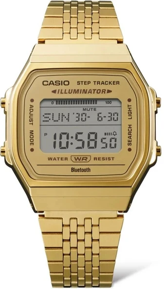 CASIO ABL-100WEG-9ADF KADIN KOL SAATİ